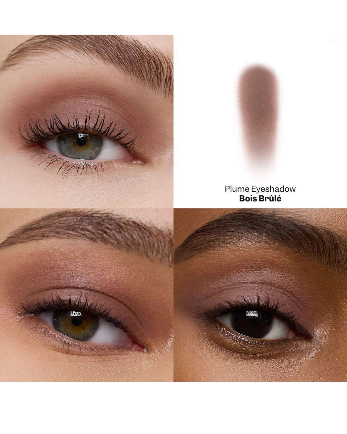 Plume Eyeshadow
