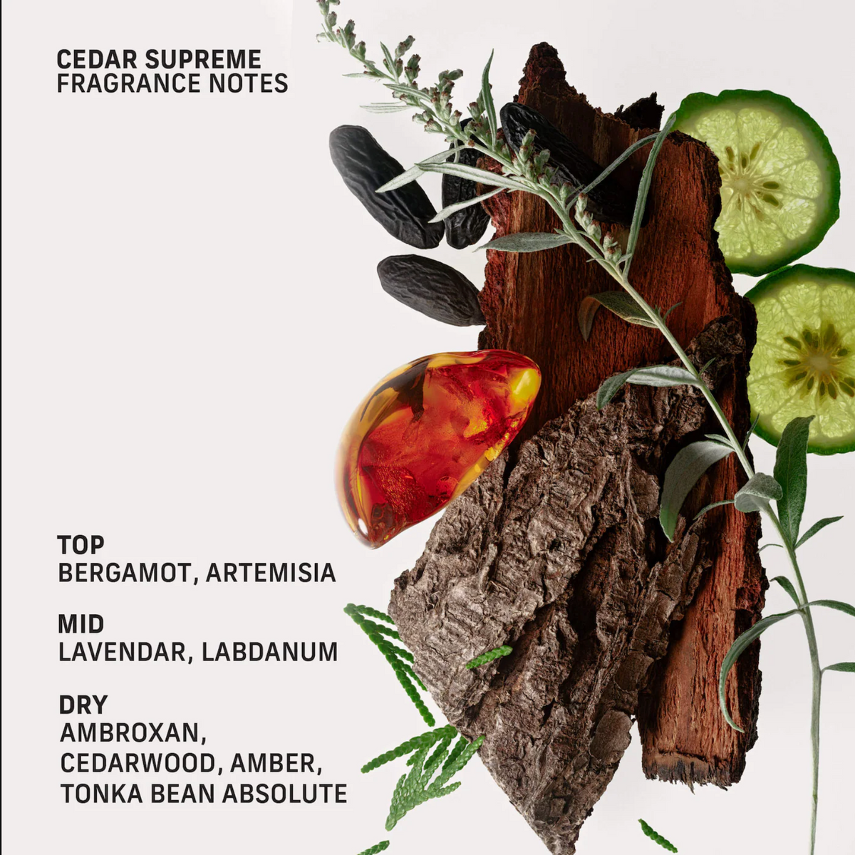 Cedar Supreme Perfume Oil with Tonka Bean