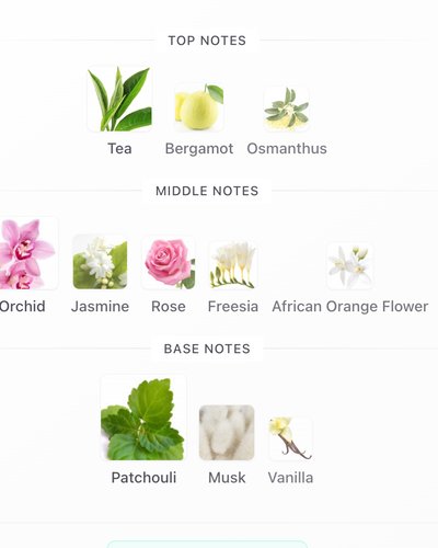 Flowerbomb